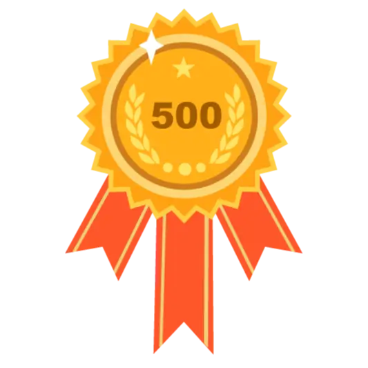 بیش از 500 پروژه موفق-image